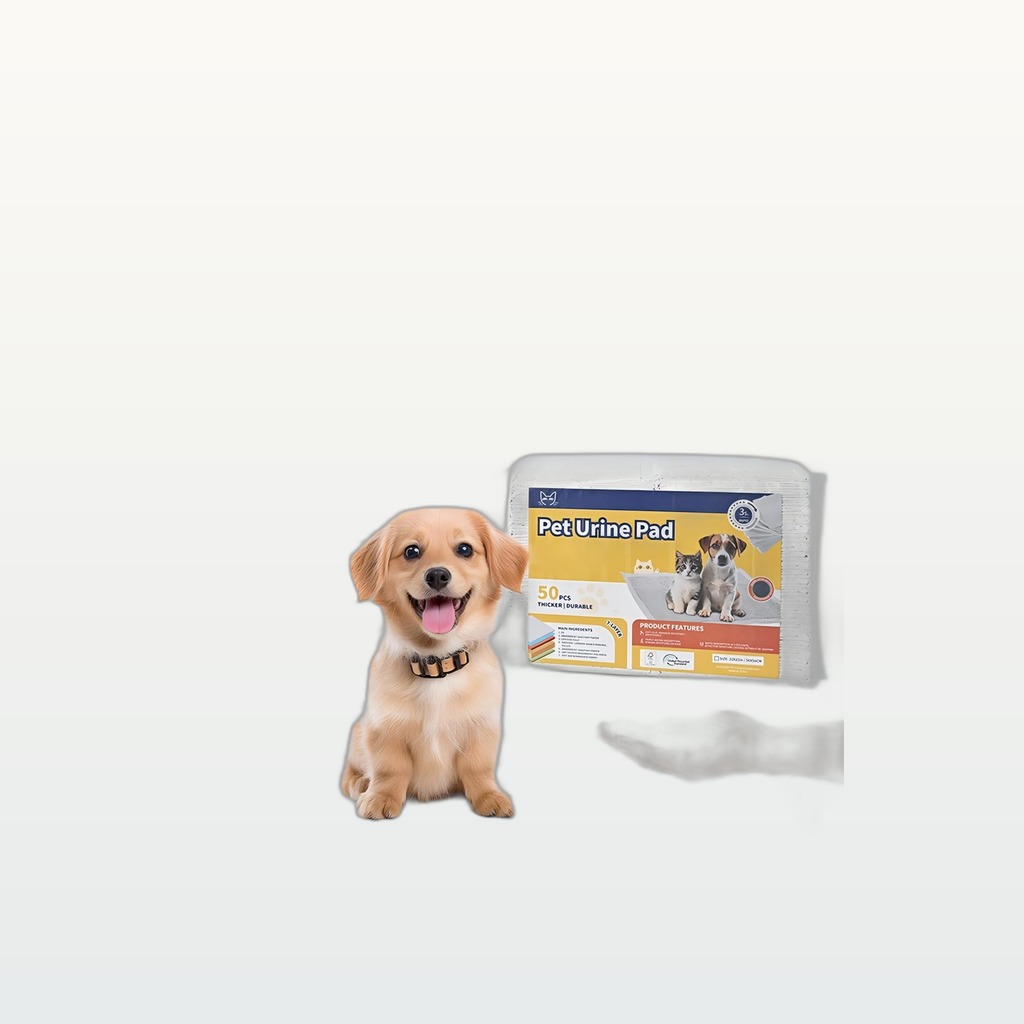 Puppy Training Pads, 50-Pack