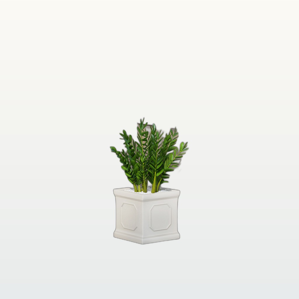 MGO PLANTER