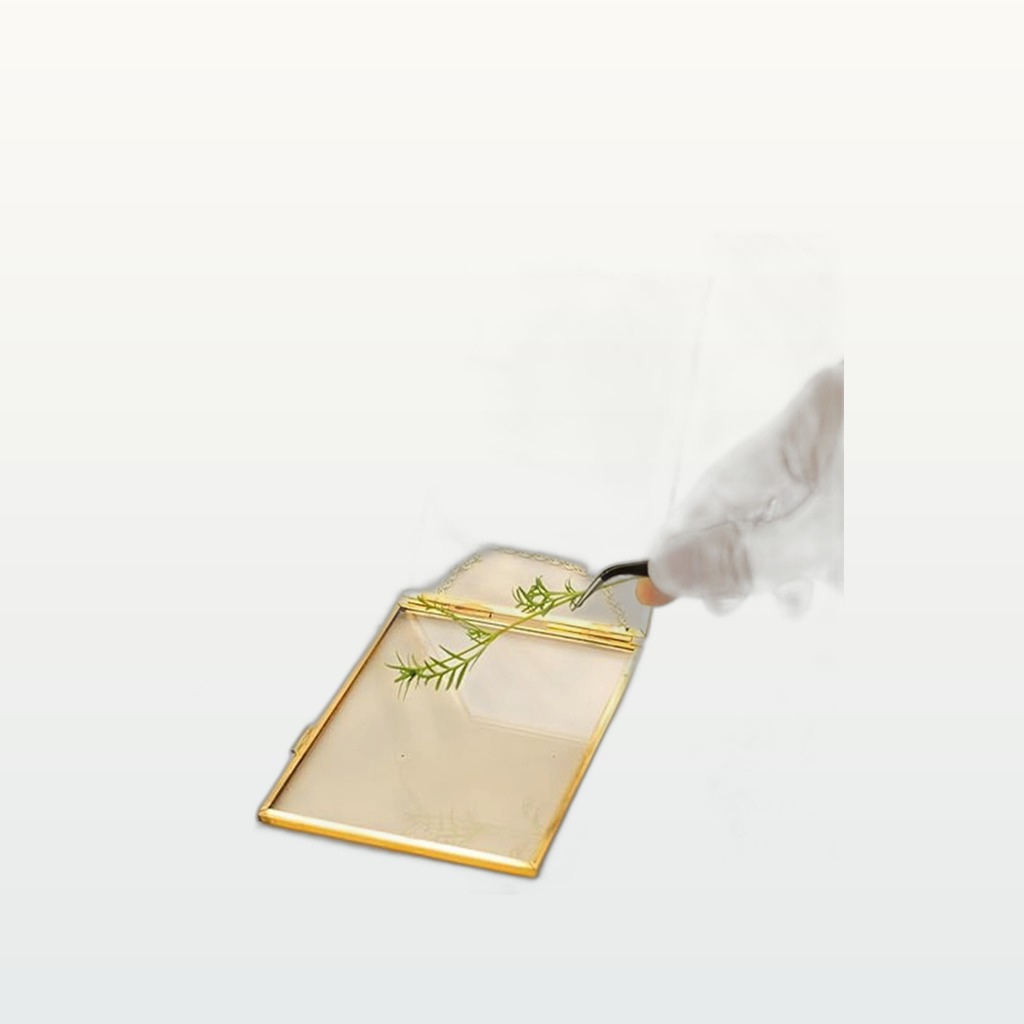 Brass and Glass Photo Frame