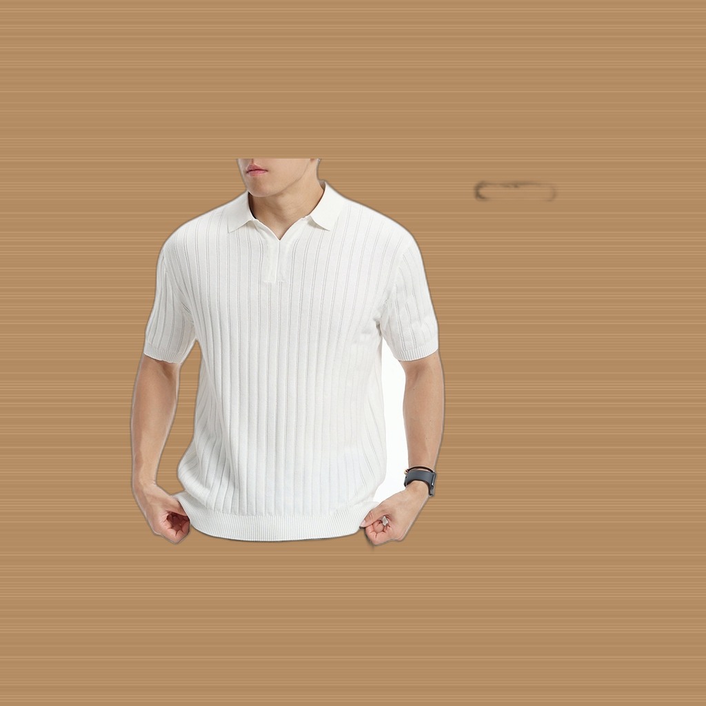 Light-luxury High-end Polo Knit With A Notched Collar And