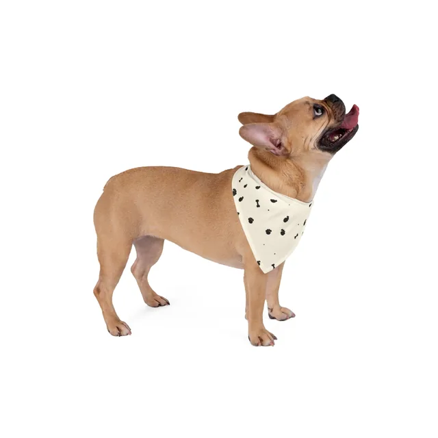 The Margin Paw Bandana